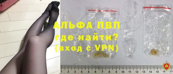 ПСИЛОЦИБИНОВЫЕ ГРИБЫ Каменка