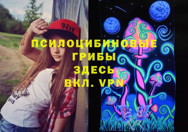 ПСИЛОЦИБИНОВЫЕ ГРИБЫ Каменка