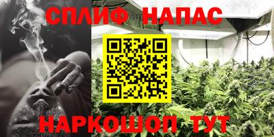 ПСИЛОЦИБИНОВЫЕ ГРИБЫ Донской