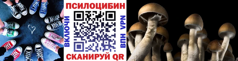 Галлюциногенные грибы мицелий  Славгород 