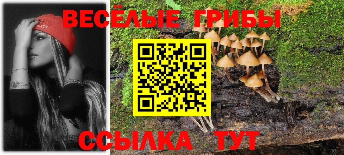 Псилоцибиновые грибы ЛСД Славгород
