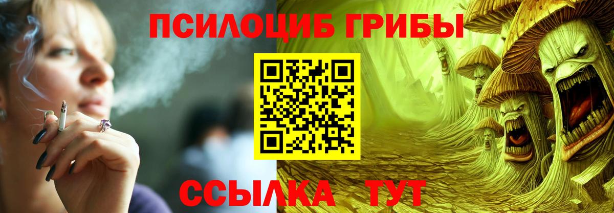 Галлюциногенные грибы прущие грибы  Вход с VPN  Галлюциногенные грибы Magic Shrooms  что такое   Славгород 