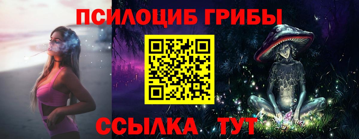 купить   Славгород  Псилоцибиновые грибы мухоморы 