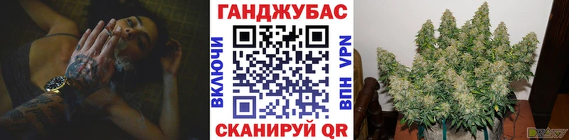 где можно купить   Славгород  Конопля тримм 